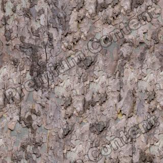 Seamless Bark 0029